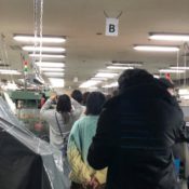 産地の学校